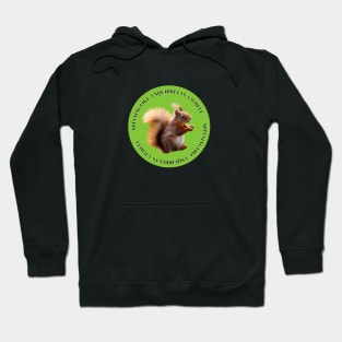 spinning like a squirrel in wheel Hoodie